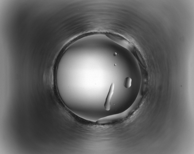 X0000088670838200706071458
