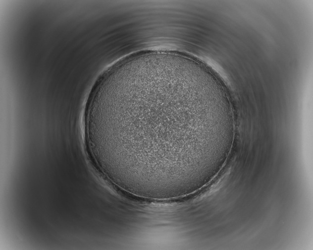 X0000088670840200706071458