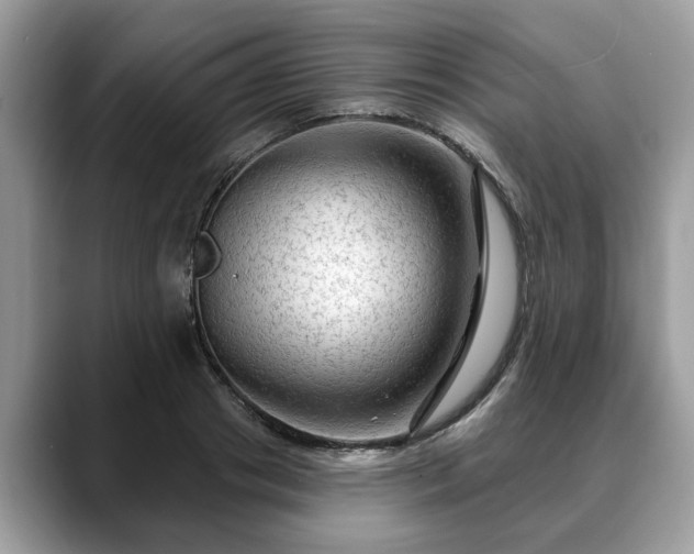 X0000088670841200706071458
