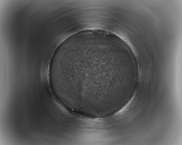 X0000088670842200706071458