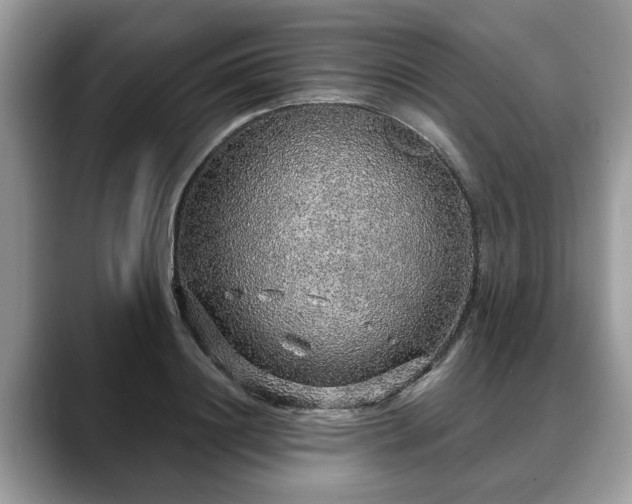 X0000088670844200706071458