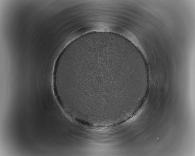 X0000088670845200706071458