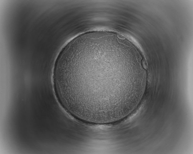 X0000088670847200706071458