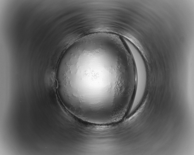 X0000088670849200706071458