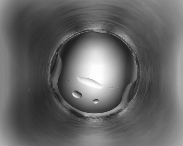 X0000088670850200706071458