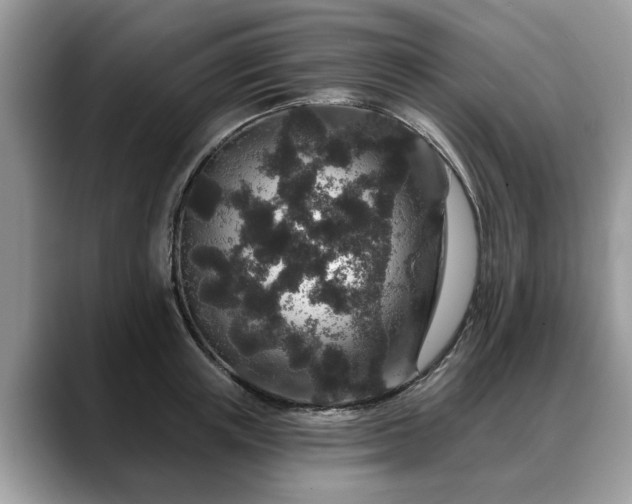X0000088670851200706071458