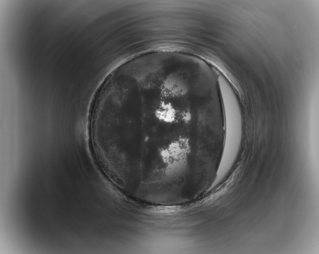 X0000088670853200706071458