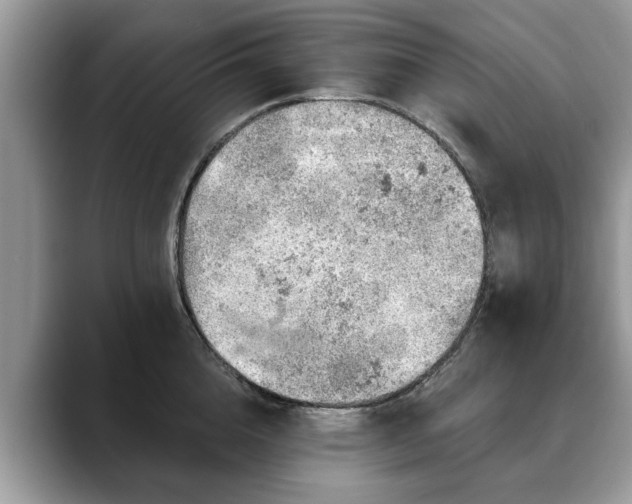 X0000088670856200706071458