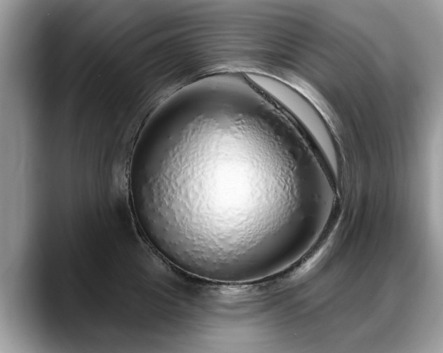 X0000088670857200706071458