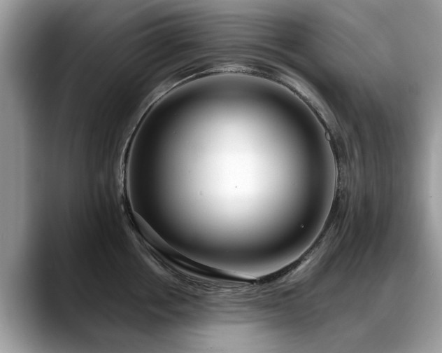X0000088670858200706071458