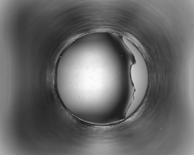 X0000088670860200706071458