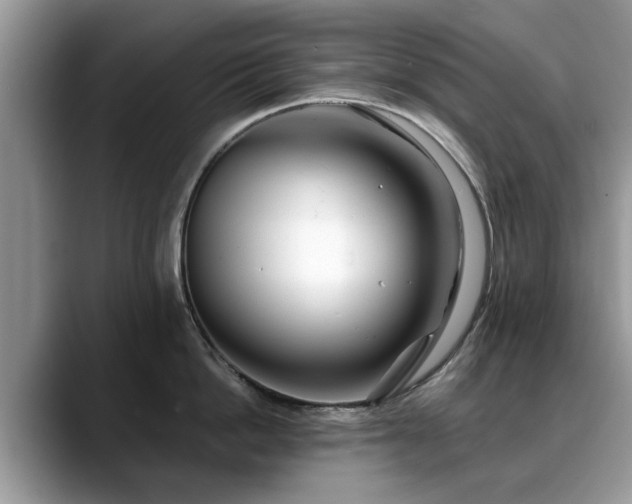 X0000088670862200706071458