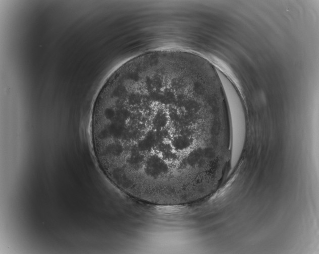 X0000088670863200706071458