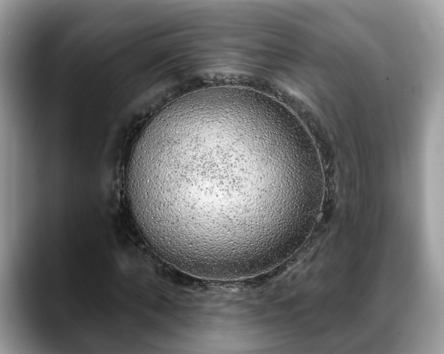 X0000088670870200706071457