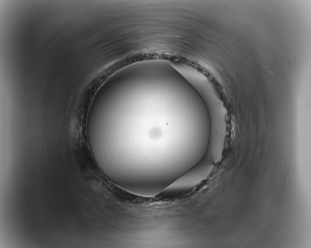 X0000088670872200706071457