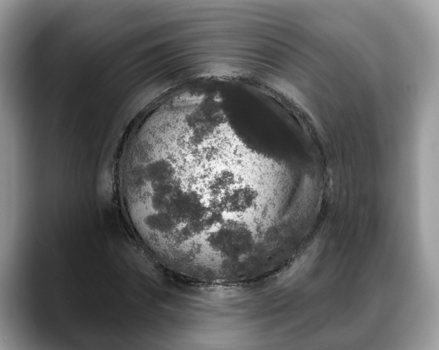 X0000088670874200706071457