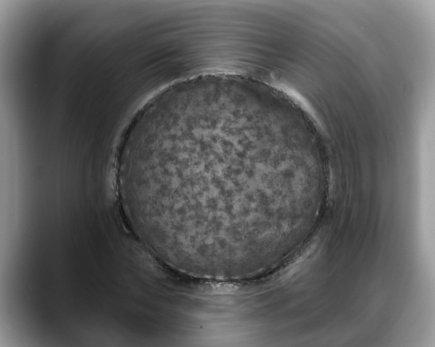 X0000088670878200706071457