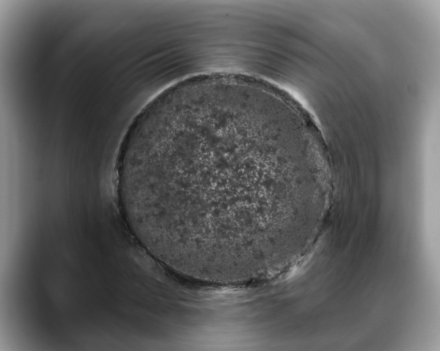 X0000088670879200706071457