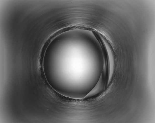 X0000088670880200706071457