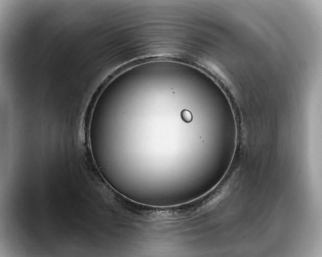 X0000088670883200706071457