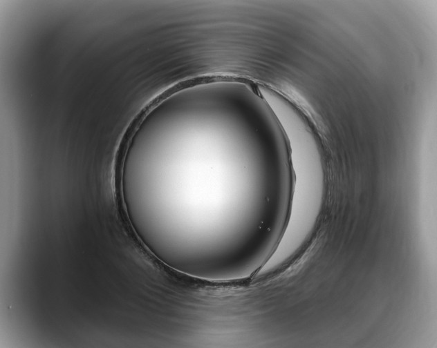 X0000088670884200706071457