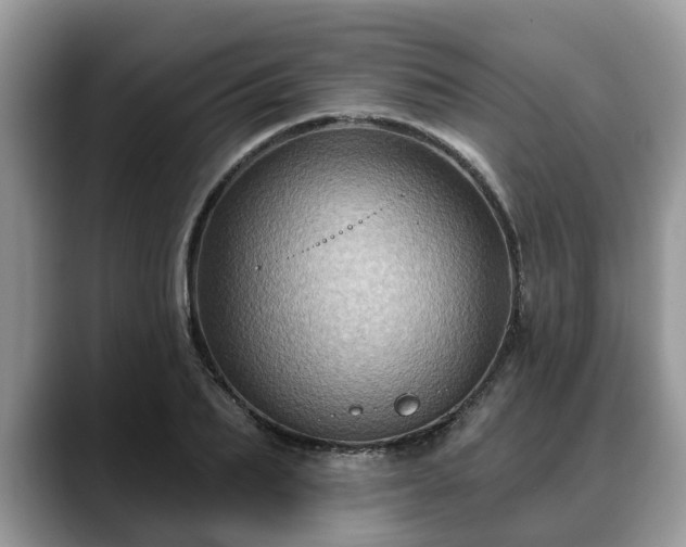 X0000088670887200706071457
