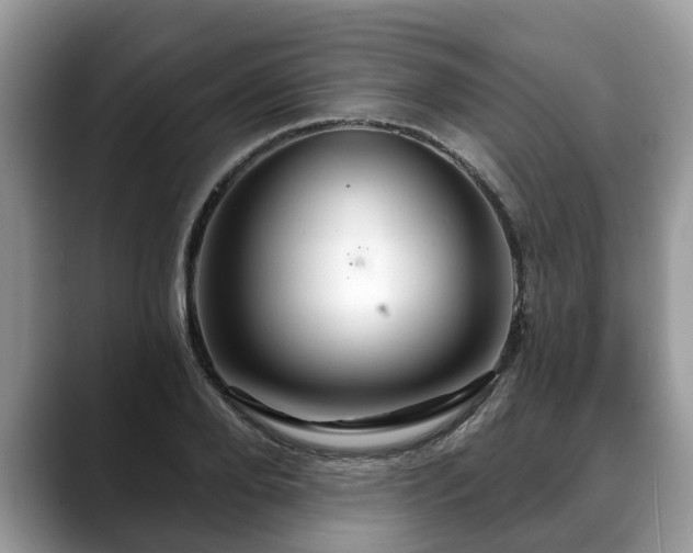 X0000088670888200706071457
