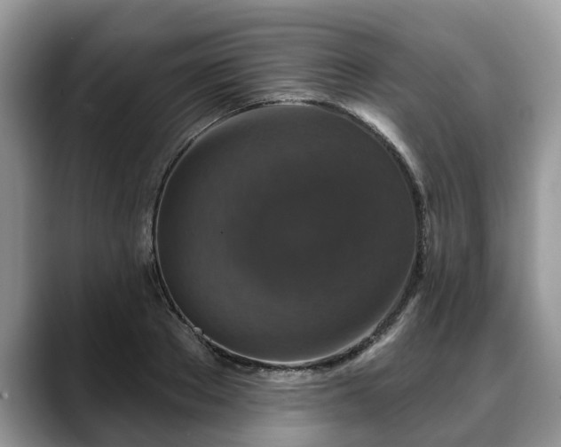 X0000088670889200706071457