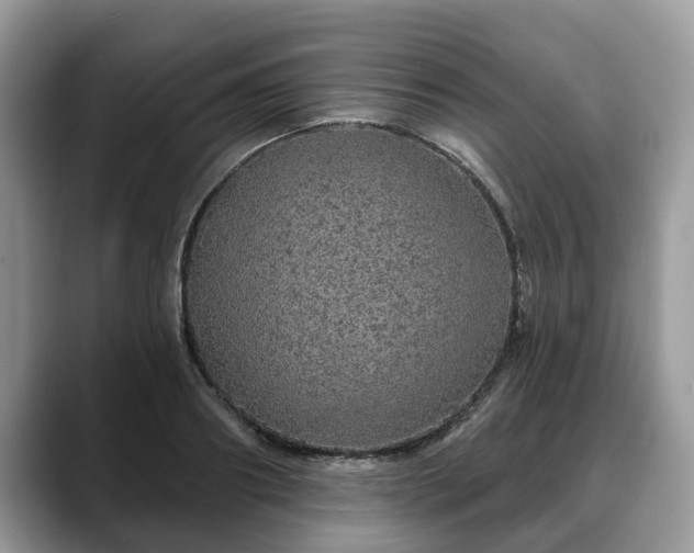 X0000088670890200706071457