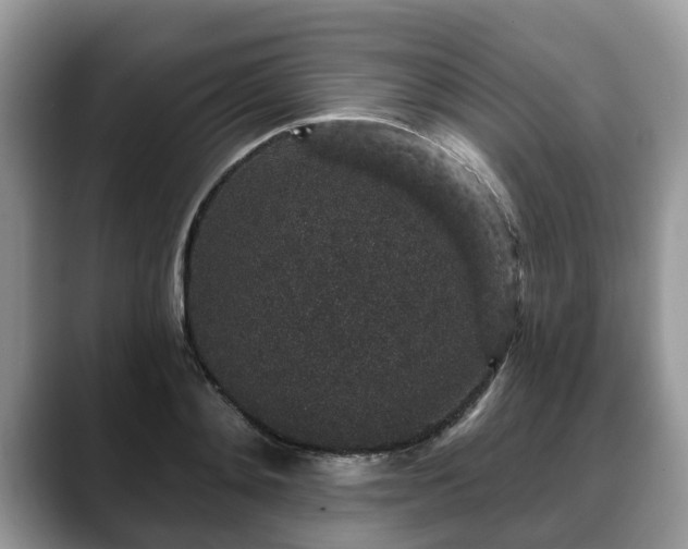 X0000088670892200706071457