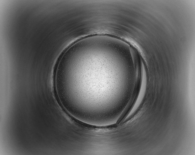 X0000088670894200706071457
