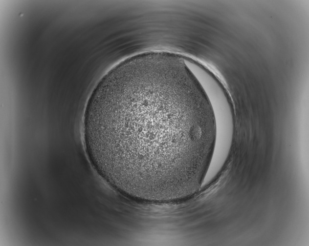 X0000088670895200706071457