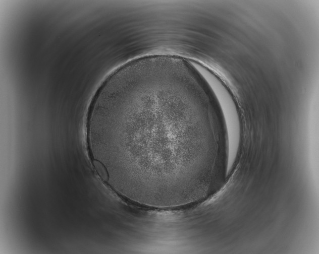 X0000088670896200706071457