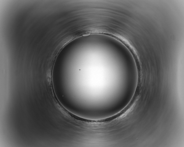 X0000088670897200706071457