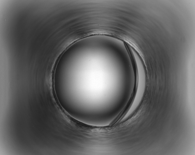 X0000088670898200706071457