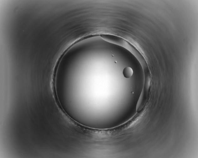 X0000088670901200706071457