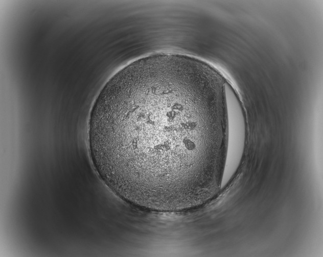 X0000088670903200706071457