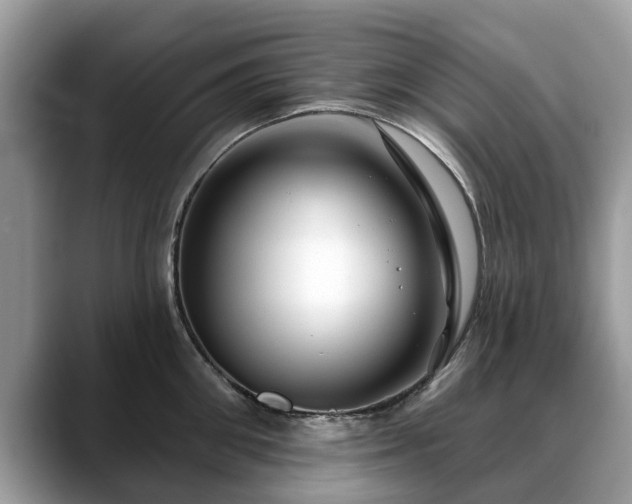 X0000088670906200706071457