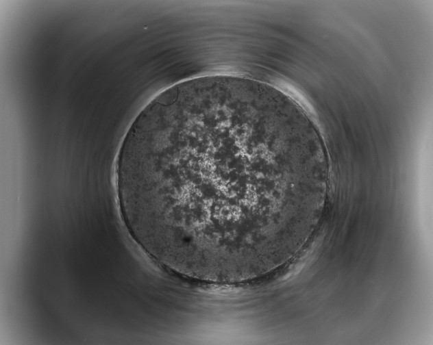 X0000088670907200706071457