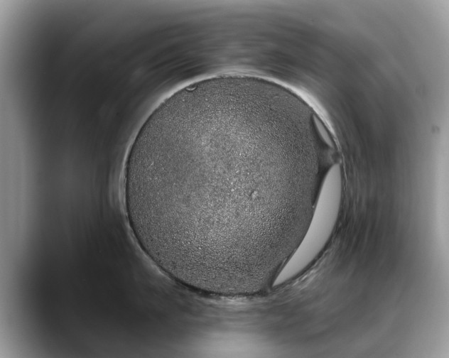 X0000088670911200706071457