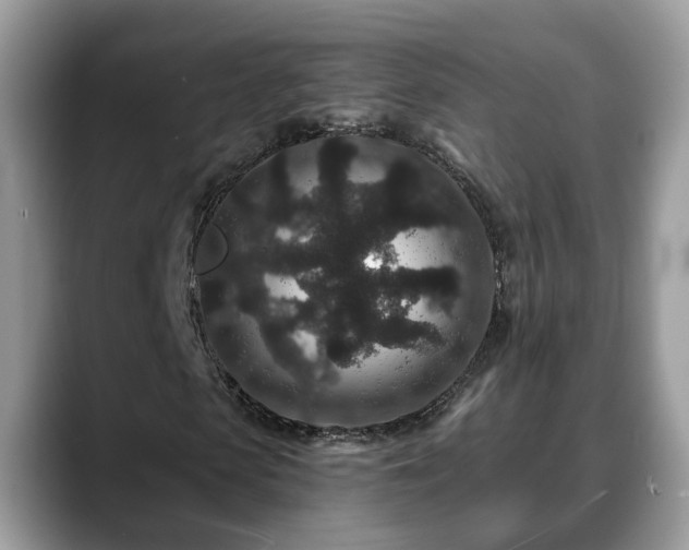 X0000088670913200706071456