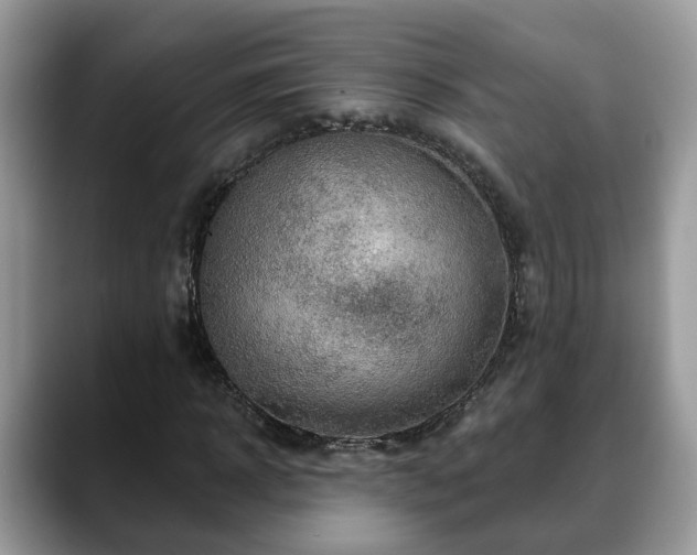 X0000088670918200706071456