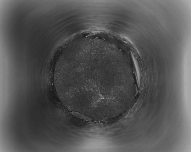 X0000088670919200706071456