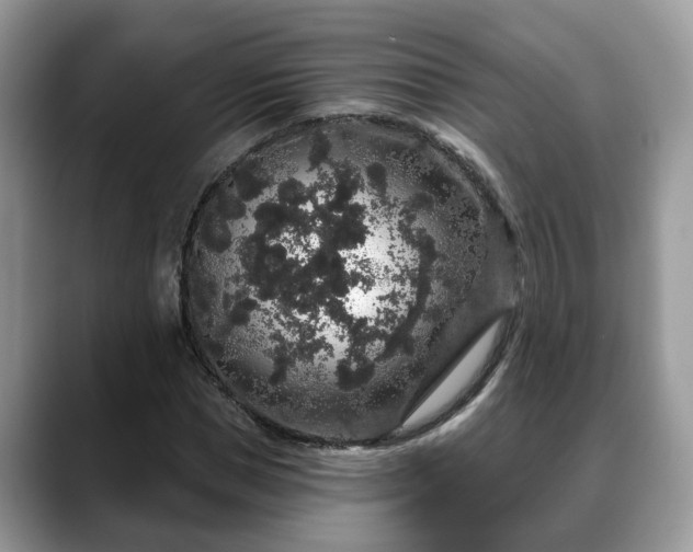 X0000088670921200706071456