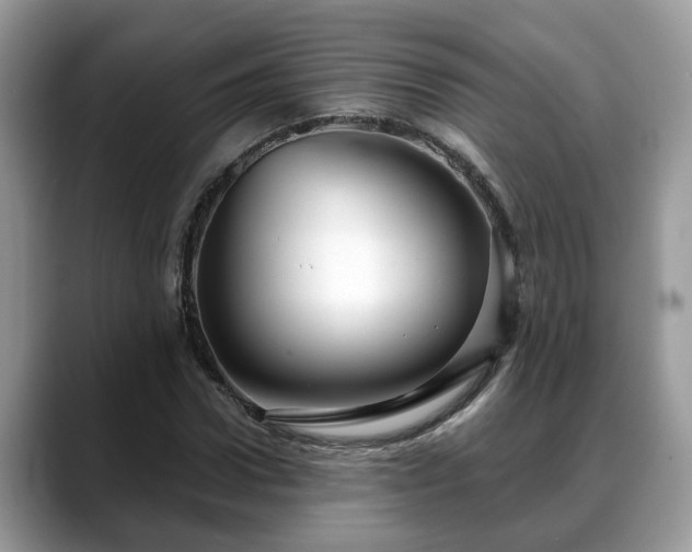 X0000088670922200706071456
