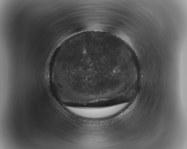 X0000088670923200706071456