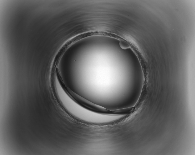 X0000088670924200706071456