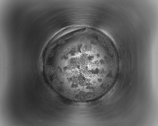 X0000088670925200706071456