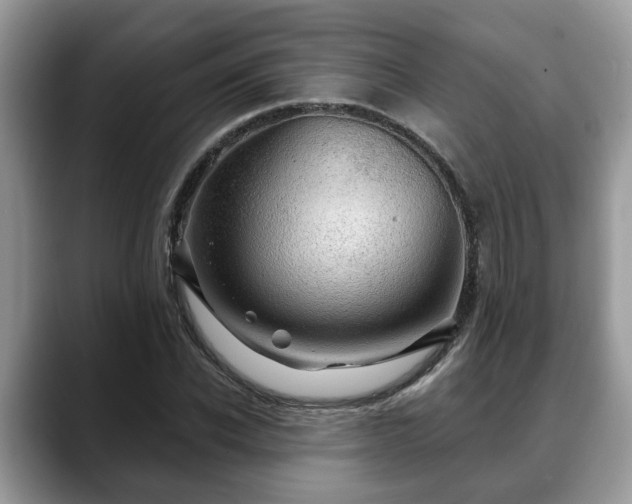 X0000088670926200706071456