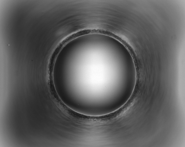 X0000088670927200706071456